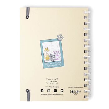 CARNET INSTACATS "FAMILLE & CAOS" 5