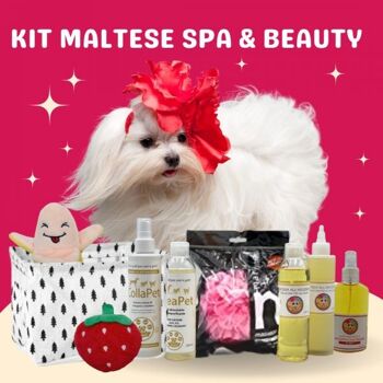 Kit Spa & Beauté dédié au chien maltais 1