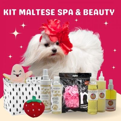 Spa & Beauty-Kit für den maltesischen Hund