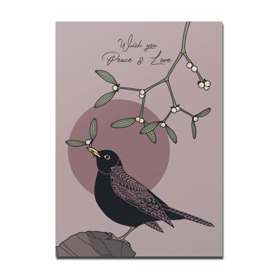 Postcard Christmas blackbird mistletoe