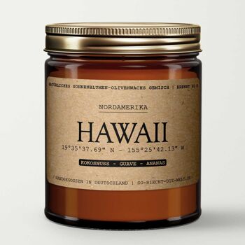 Bougie Hawaïenne - Noix de Coco | goyave | ananas 4