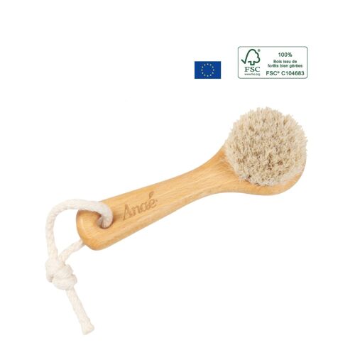 Brosse visage