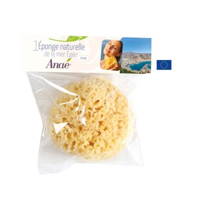 Natural sponge from the Aegean Sea (large)