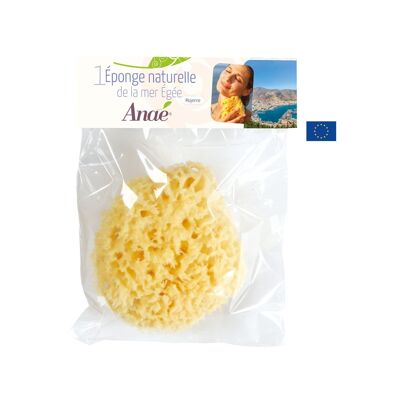 Natural sponge from the Aegean Sea (medium)