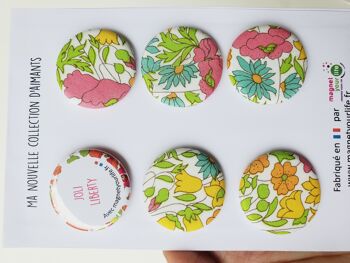 Magnets Liberty Poppies and Daisy 4