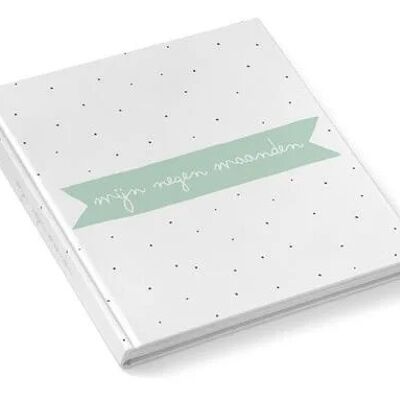 My nine months fill-in book Mint
