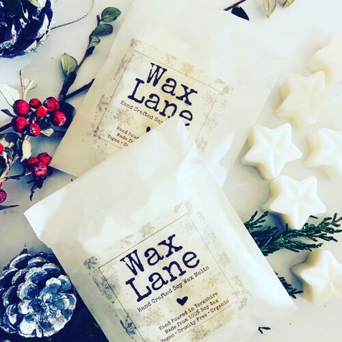 Christmas Individual Soy Wax Melts - Winter