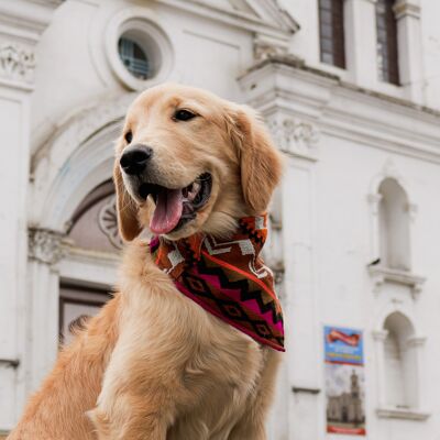 Bandana pour chien MARLEY