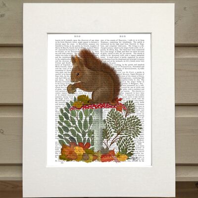Squirrel red on mushroom, Cabin book print, art print, wall art