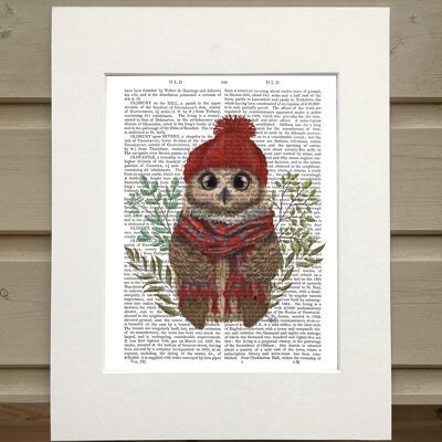 Owl in tartan scarf, Cabin book print, art print, wall art
