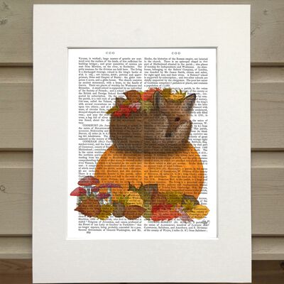 Fox curled on pumpkin, Cabin Book print, art print, wall art