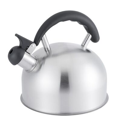 1.5L STEEL KETTLE WITH WHISTLER SUITABLE FOR GAS, VITRO., INDUCC.,ELE _20X16X18.5CM LL522