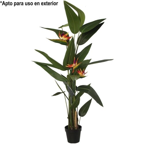 PLANTA ARTIFICIAL (PU) AVE DELPARAISO 180CM ANCHO APROX.90CM _180CM APTO USO EXTERIOR LL26553