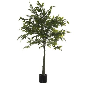 PLANTE ARTIFICIELLE BANGAL (BANIAN) _140CM LL26574