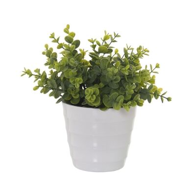 PLANTA ARTIFICIAL CRASSULA 25CM LL26588