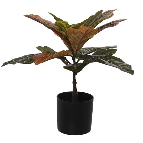 PLANTA ARTIFICIAL CROTON _48CM LL26592