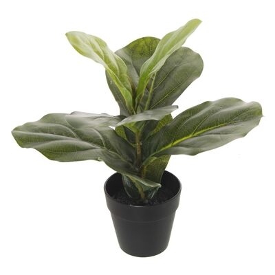 PLANTE FICUS ARTIFICIELLE 35CM LL26594