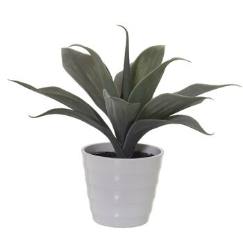 PLANTE ARTIFICIELLE ALOE VERA 35CM LL26595