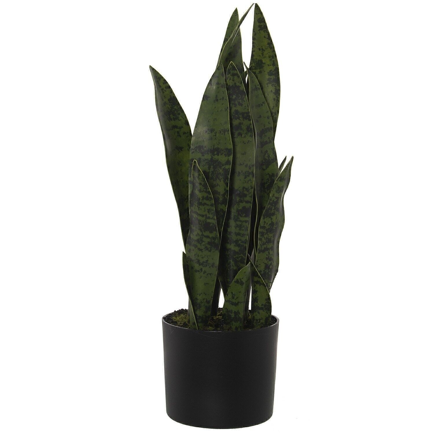 KÜNSTLICHE PFLANZE DRACENA (SANSEVIERIA) 50CM LL26598