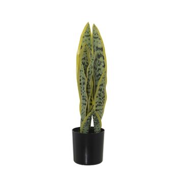 PLANTE ARTIFICIELLE DRÁCENA (SANSEVIERIA) 42CM LL26600