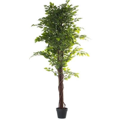 KÜNSTLICHE PFLANZE PU FICUS _180 CM LL26611