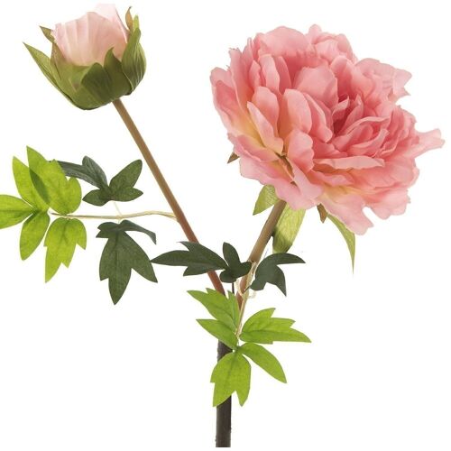 PEONIA POLIESTER ROSA _50CM LL27785