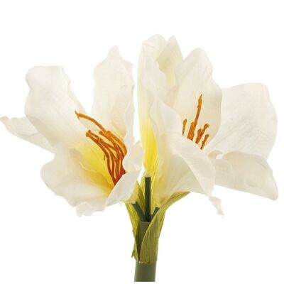 KAFIR LILY POLIESTER BLANCA _75CM LL27791