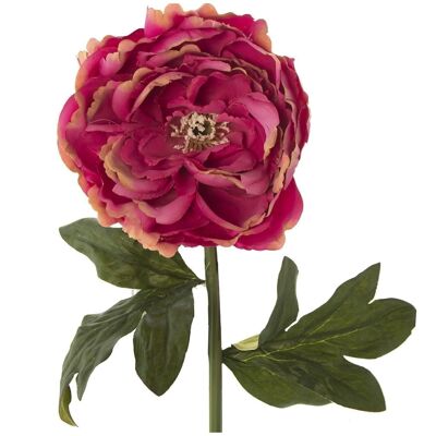 PEONIA POLIESTER FUCSIA _55CM LL27800