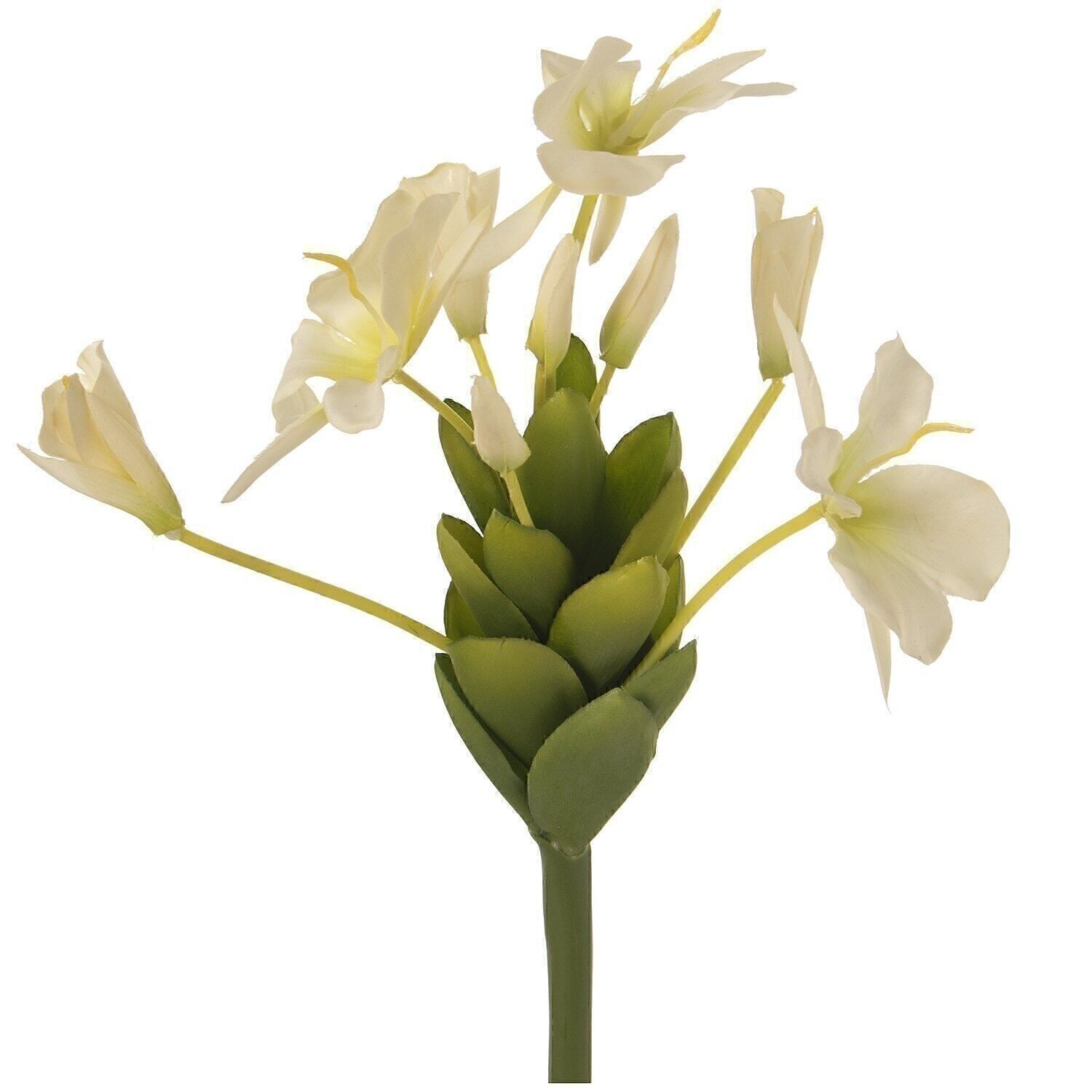 INGWERWEISSER POLYESTER _84CM LL27823