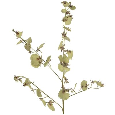 ORCHIDEA POLIESTERE VERDE _82CM LL27853