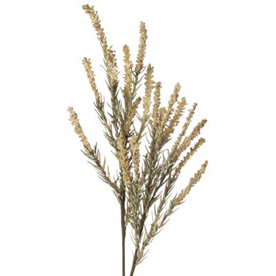 BRANCHE DE PLANTE DE RIVIÈRE 79 CM NATUREL _79CM LL27904