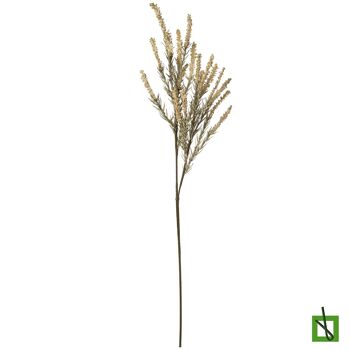 BRANCHE DE PLANTE DE RIVIÈRE 79 CM NATUREL _79CM LL27904 2