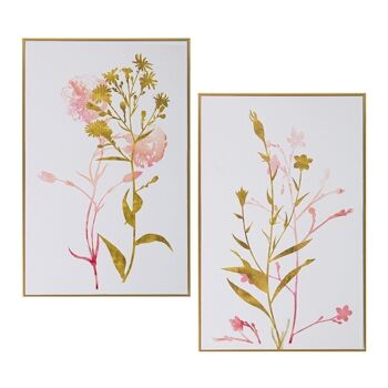 IMAGE SUR TOILE IMPRIMÉE 30X45CMC/CADRE DORÉ ASSORTIMENT DE PLANTES _30X2X45CM LL36339