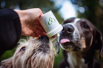 Doggypumper rose - accessoire lifestyle pour une utilisation portable et pratique pour récompenser les chiens et les animaux domestiques 6