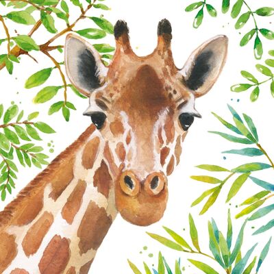 Girafe tropicale 33x33 cm