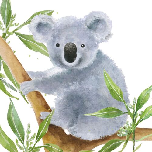 Tropical Koala Bear 33x33 cm