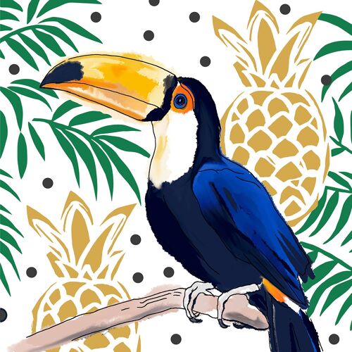 Tropical Tucan 33x33 cm