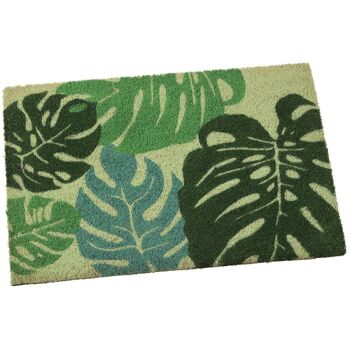 PAillasson FIBRE DE COCO FEUILLES _40X60X2CM LL63271