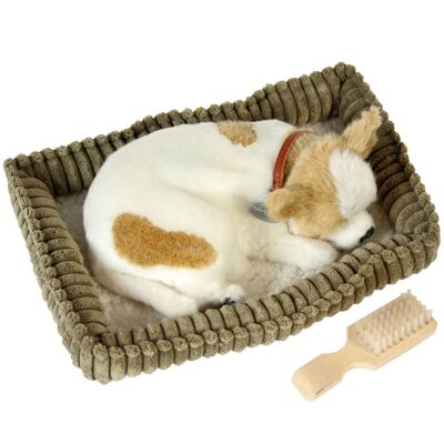 PELUCHE CON CANE CHIHUAHUA IN MOVIMENTO _23X19X10CM LL67703