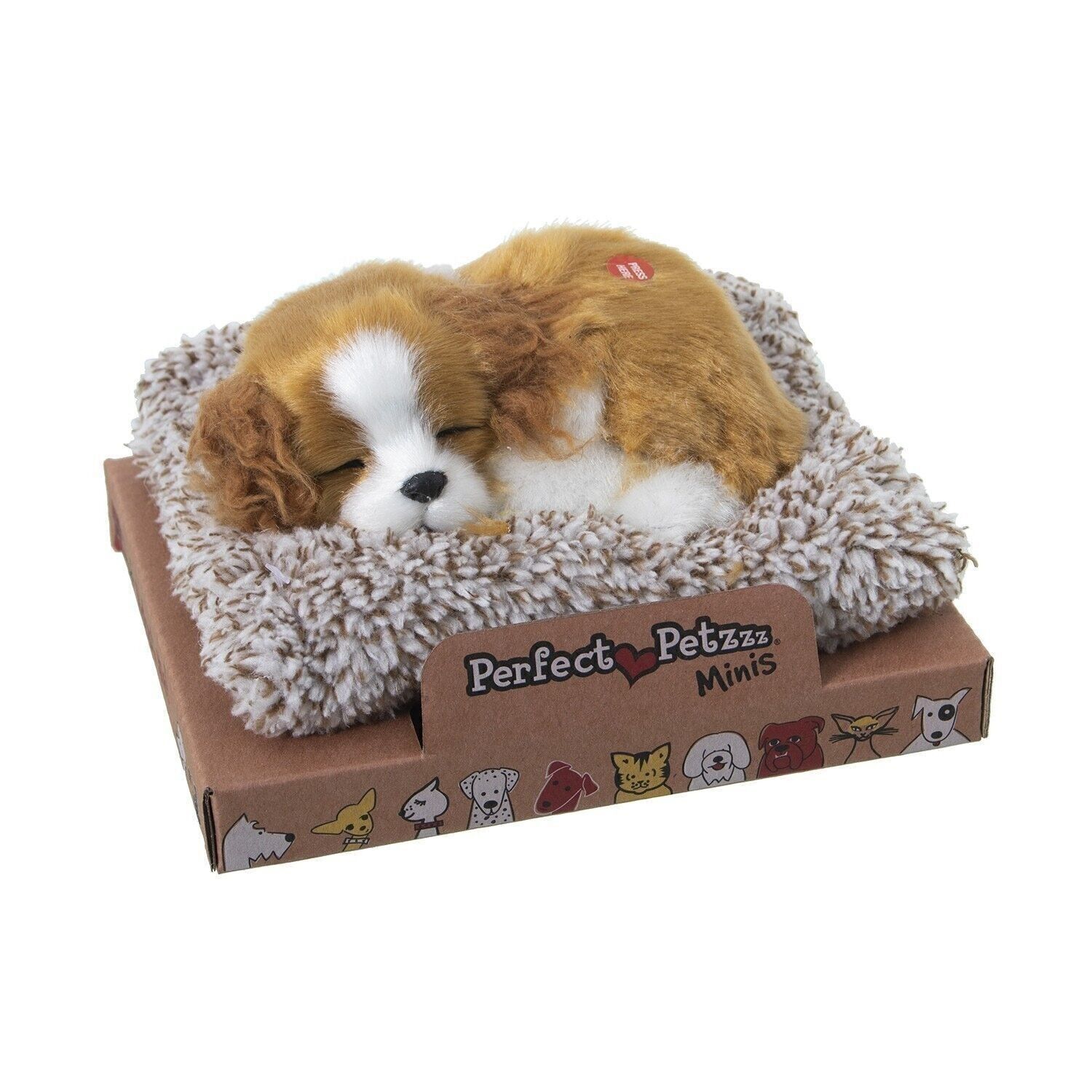 PLÜSCH MIT KLANG MINI CAVALIER KING CHARLES HUND 14X13X5,5CM, BASIS: 16X13,5X2CM LL67721