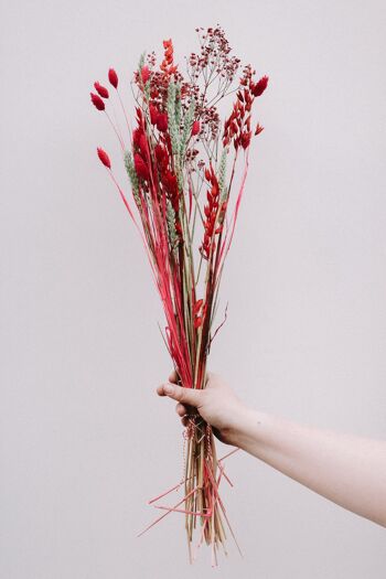 Bouquet sec - Diable rouge 1