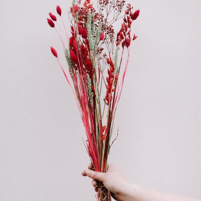Trockenes Bouquet - Roter Teufel