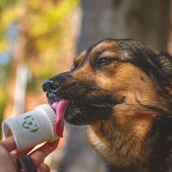 Doggy set green - distributeur de nourriture et de récompenses pour animaux de compagnie 8
