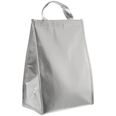 BOLSO NEVERA TERMICO PLATA _27,5X16X39,5 CM. LL81667