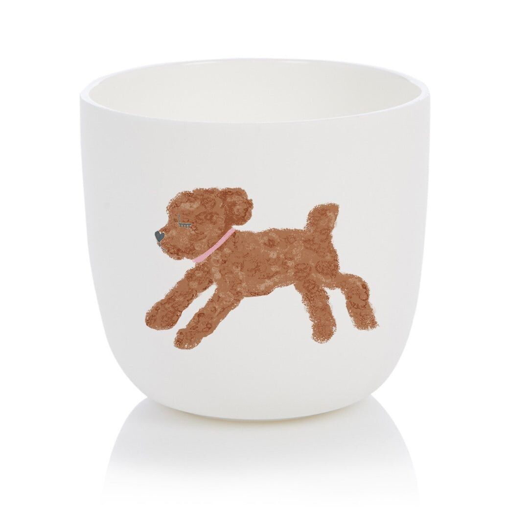 Tazza per cani Barboncino