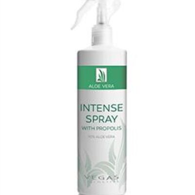 Spray Intenso all'Aloe Vera