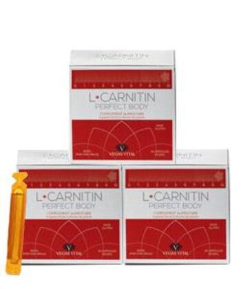 L-Carnitine Corps Parfait (Pack 3)