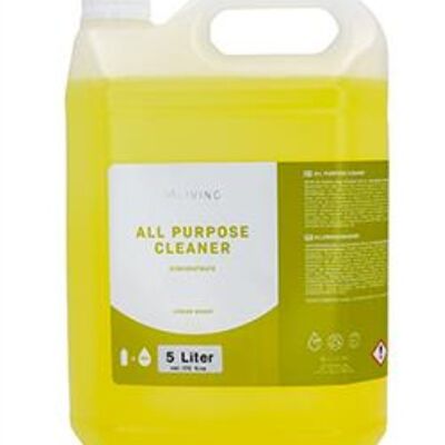 Detergente multiuso 5L