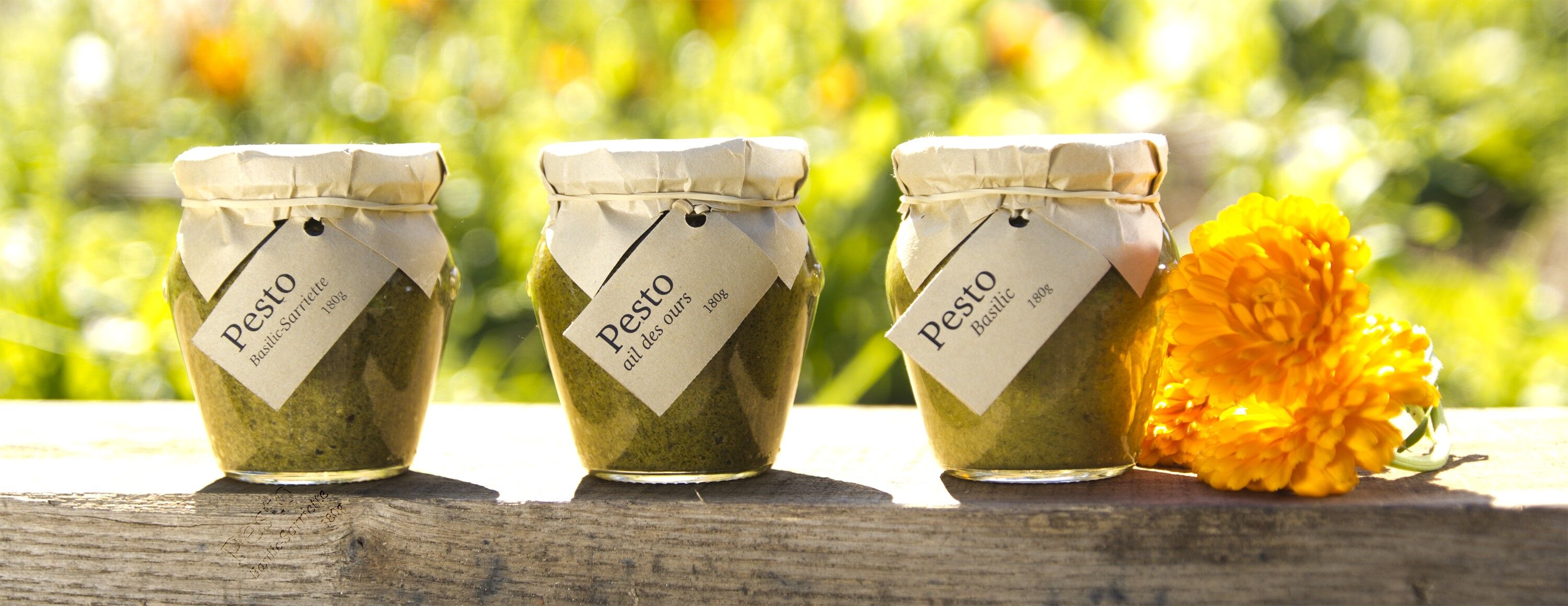 pesto di aglio orsino