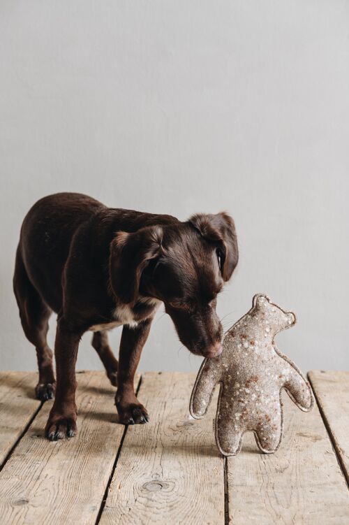 Hundespielzeug aus Wollfilz